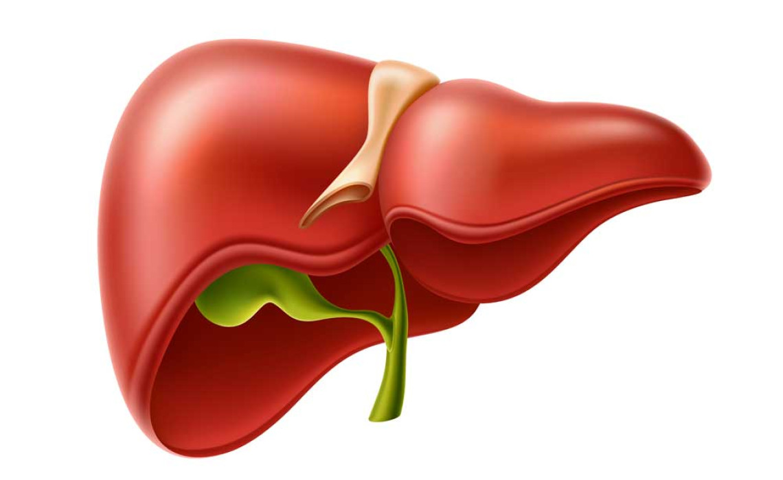 Karaciğer Yağlanması: Nedir, Diyeti Nasıl Yapılır?